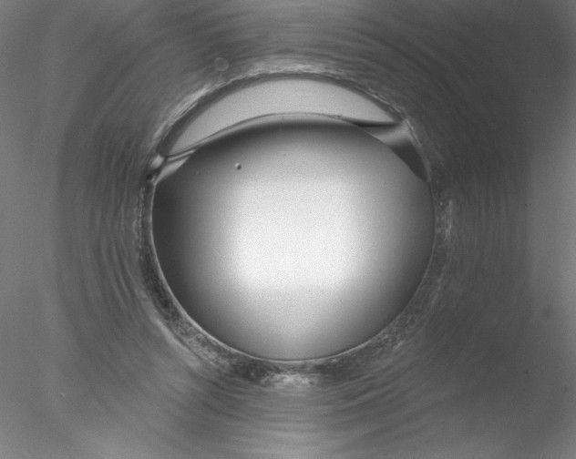 X0000076440352200611031911