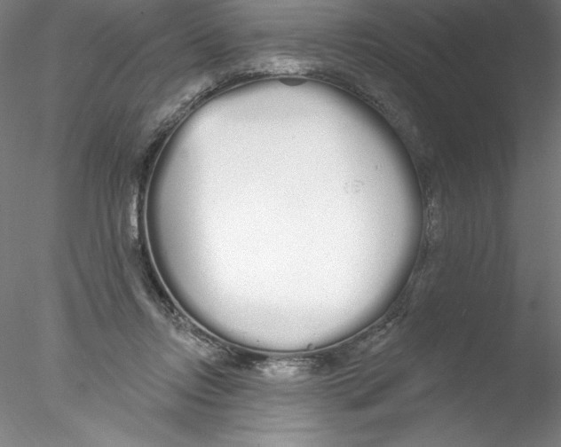 X0000076440358200611031911