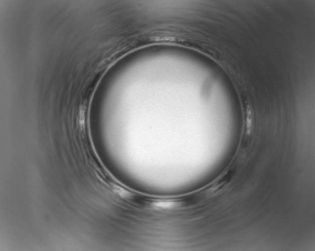 X0000076440371200611031911