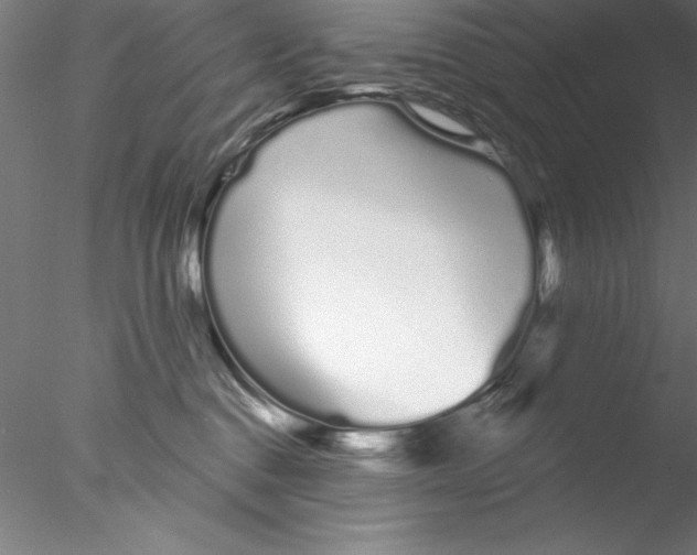 X0000076440376200611031911