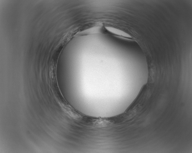 X0000076440379200611031911