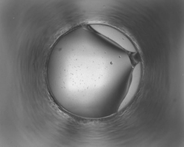 X0000076440385200611031911