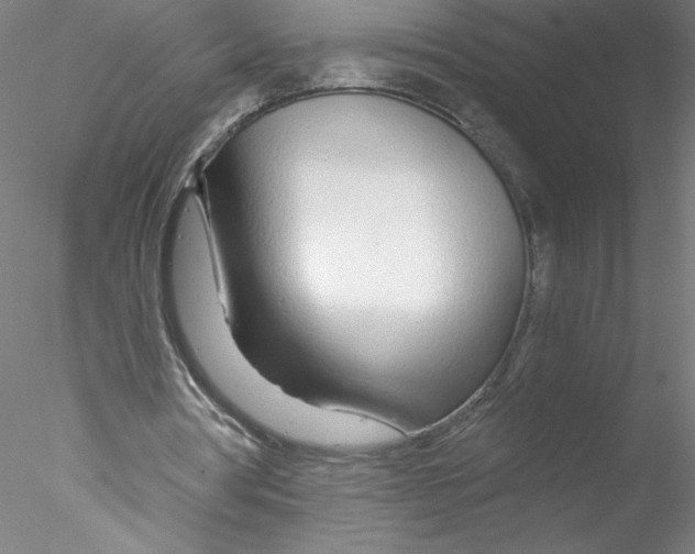 X0000076440386200611031911