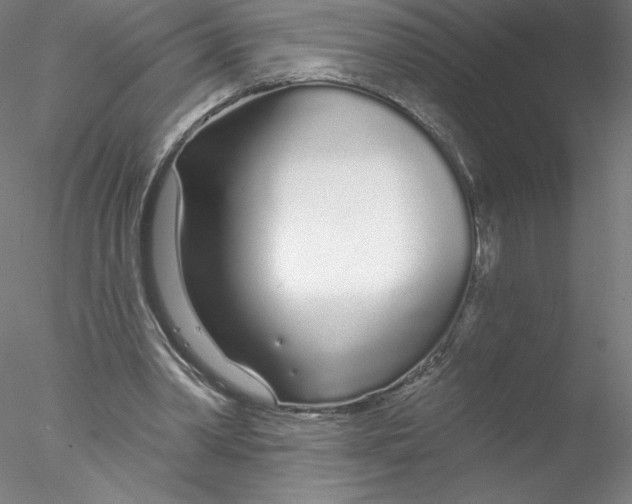 X0000076440390200611031911