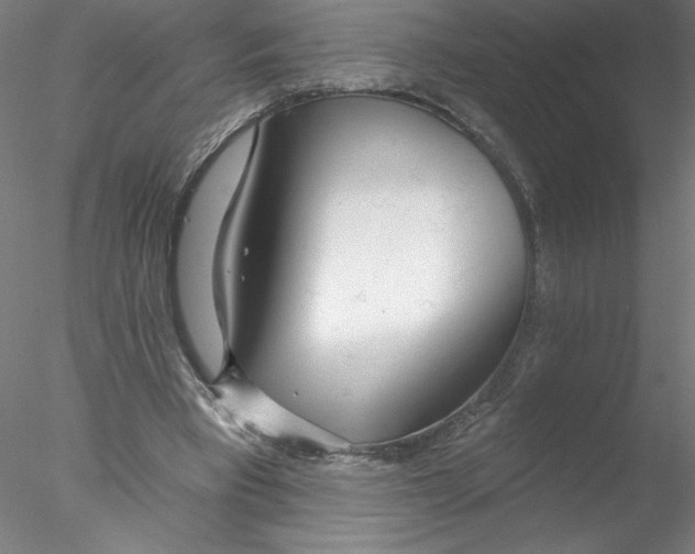 X0000076440393200611031911