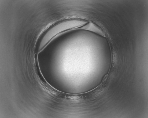 X0000076440395200611031911