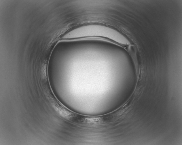 X0000076440401200611031910