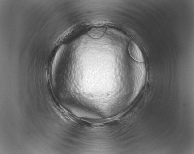 X0000076440405200611031910