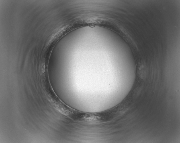 X0000076440407200611031910