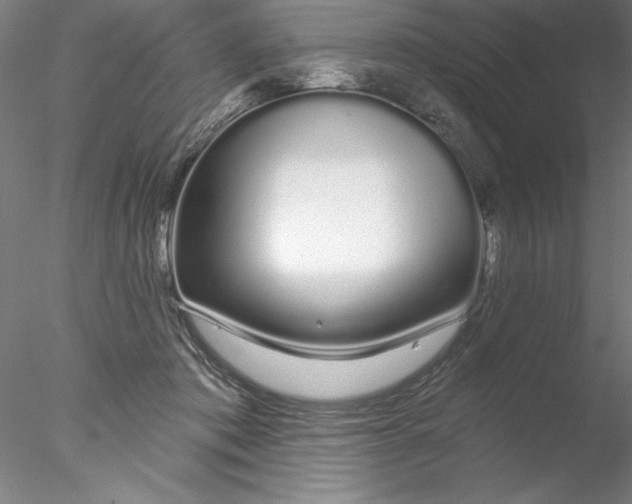 X0000076440413200611031910