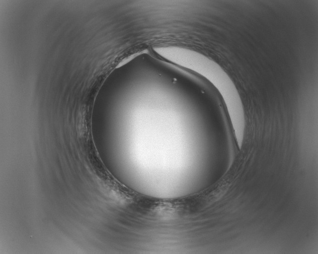 X0000076440416200611031910