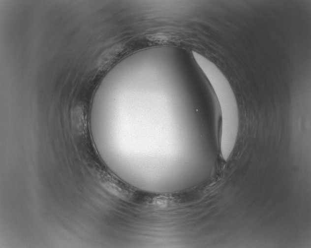 X0000076440420200611031910