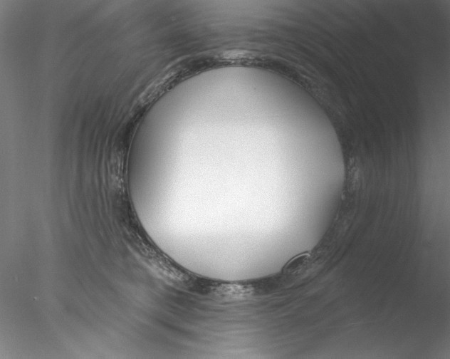 X0000076440421200611031910