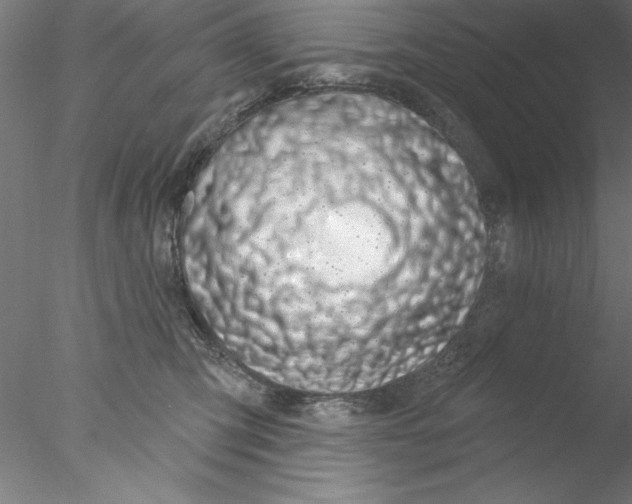 X0000076440423200611031910