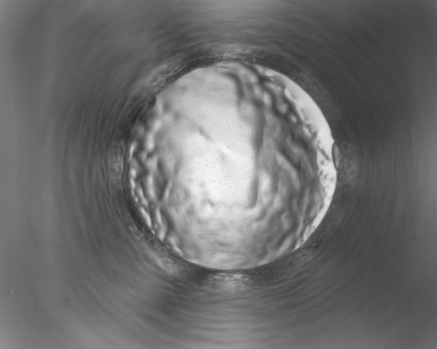 X0000076440427200611031910