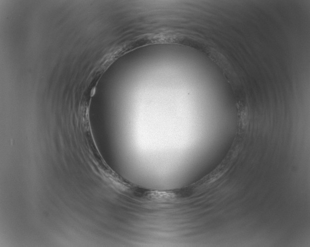 X0000076440429200611031910