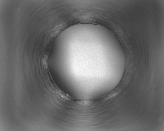 X0000076440432200611031910