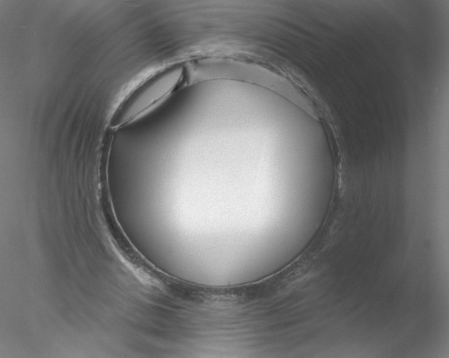 X0000076440438200611031909