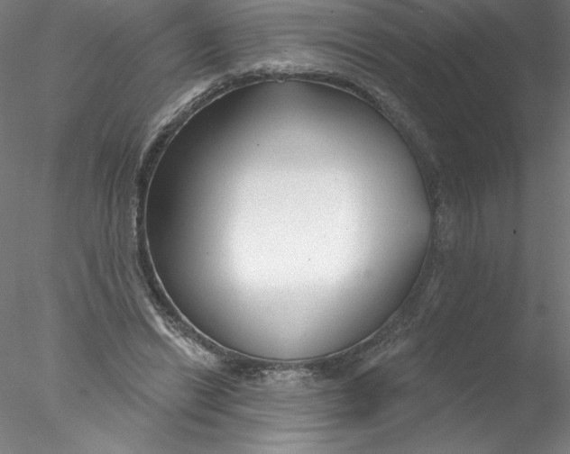 X0000076440446200611031909