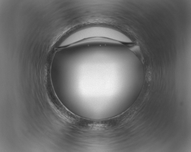X0000076440448200611031909