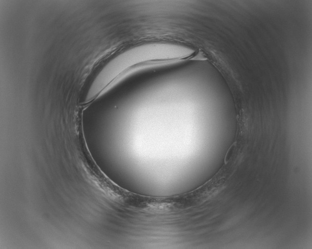 X0000076440450200611031909