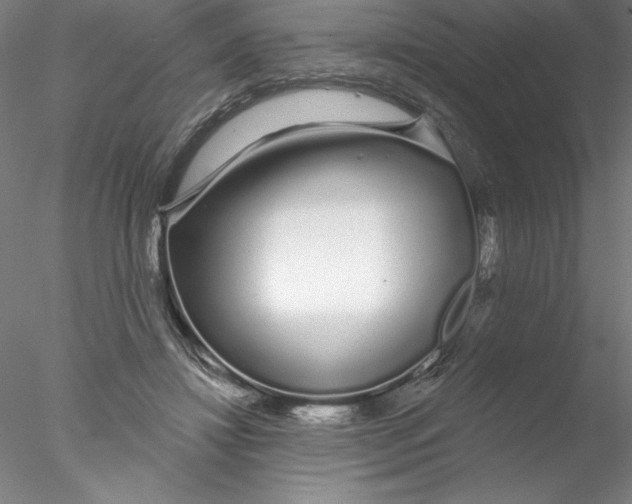 X0000076440452200611031909