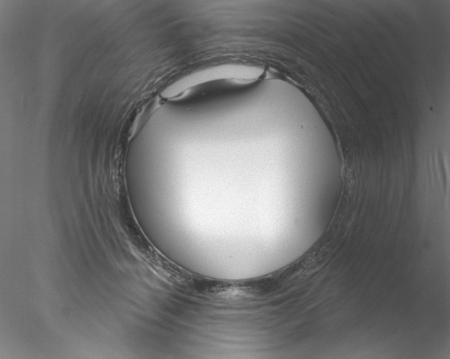 X0000076440460200611031910