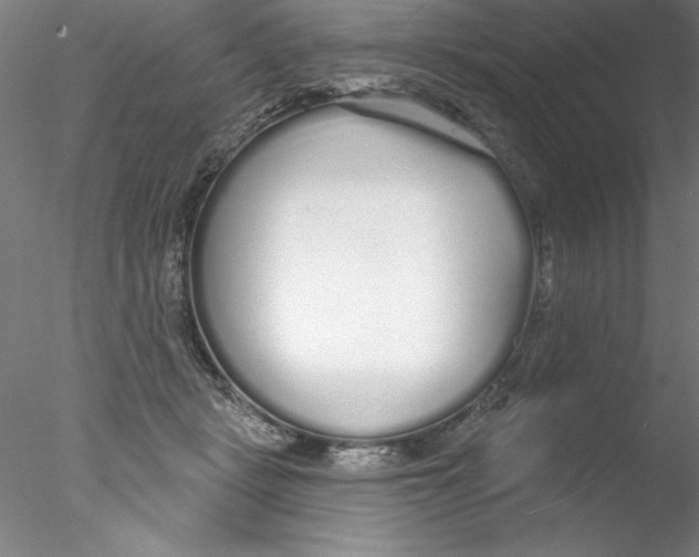 X0000076440461200611031910