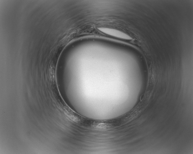 X0000076440467200611031910
