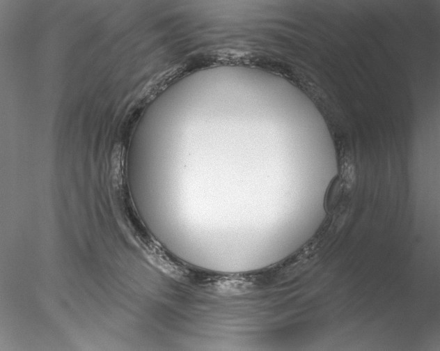 X0000076440468200611031910