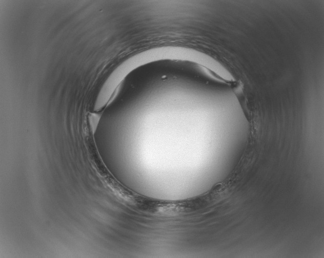 X0000076440470200611031910