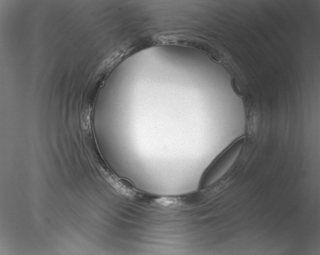 X0000076440477200611031910