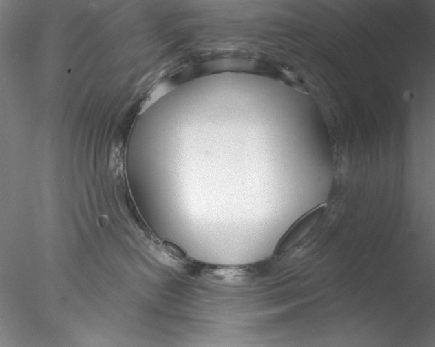 X0000076440478200611031910