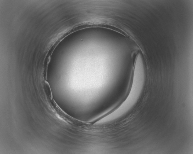 X0000076440485200611031909