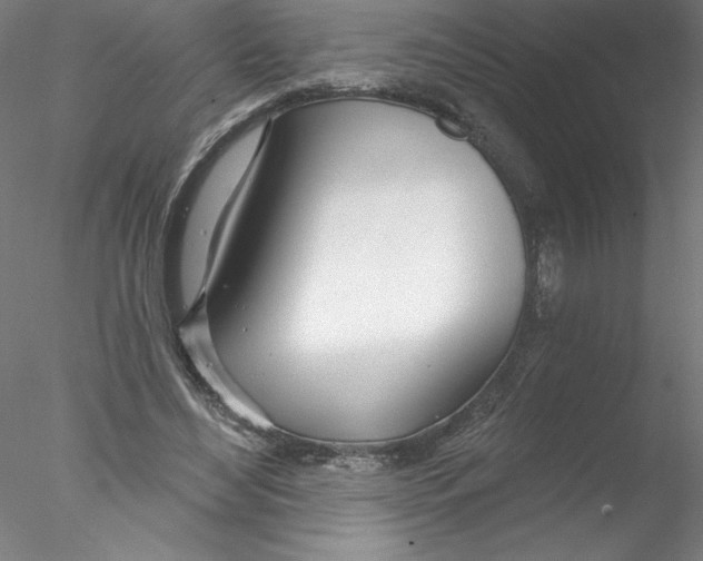 X0000076440492200611031909