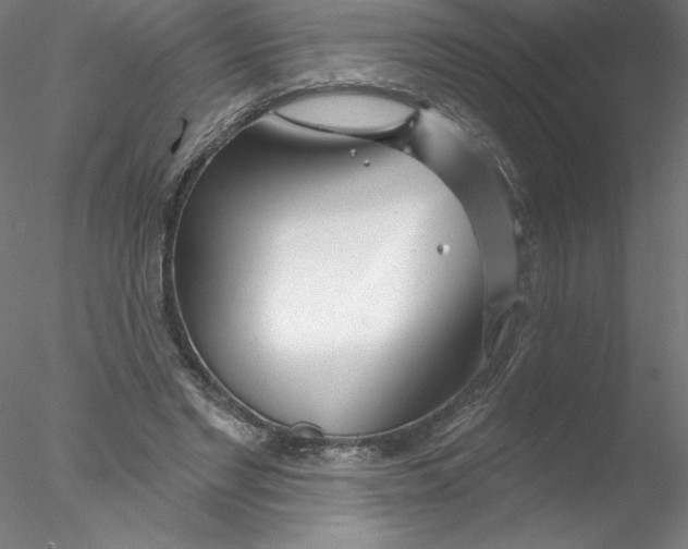 X0000076440493200611031909