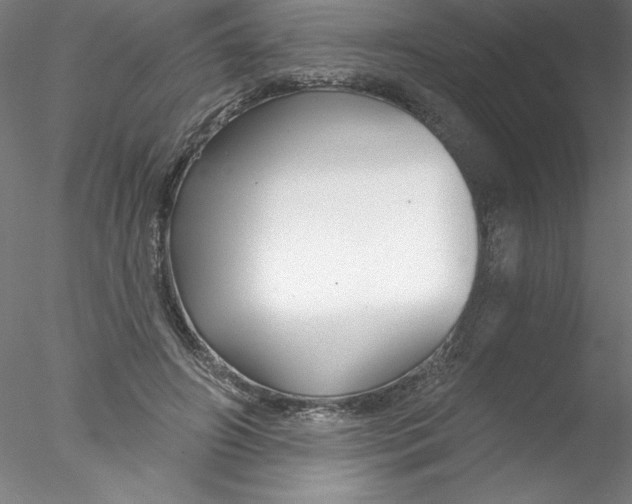 X0000076440498200611031909