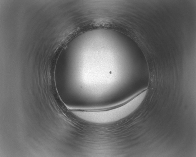 X0000076440508200611031909