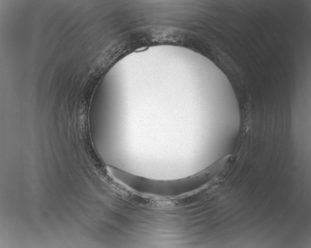 X0000076440513200611031909