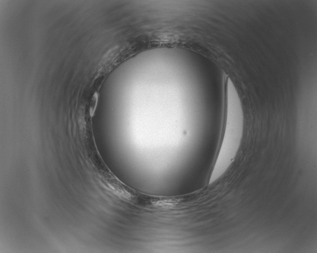 X0000076440516200611031908