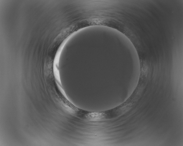 X0000076440526200611031908
