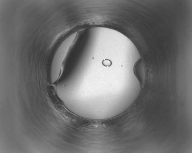 X0000076440543200611031908