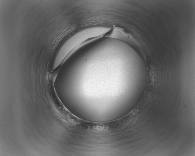 X0000076440546200611031908