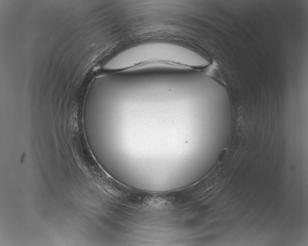 X0000076440547200611031908