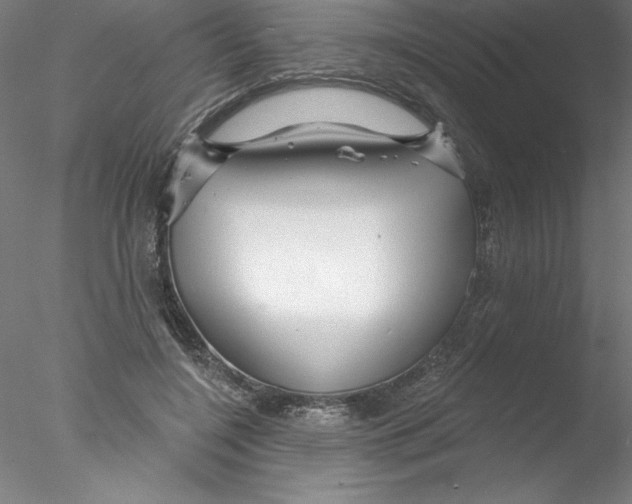 X0000076440548200611031908