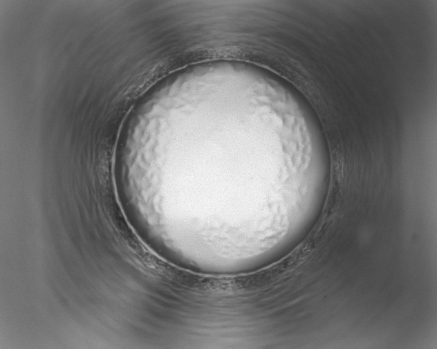 X0000076440549200611031908