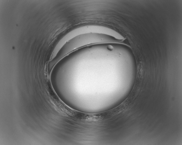 X0000076440550200611031908