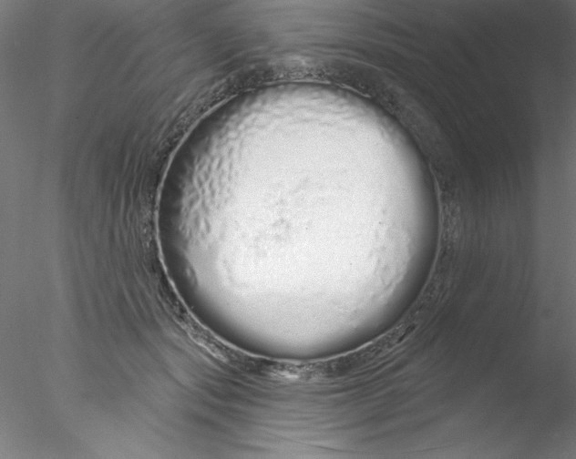 X0000076440557200611031908