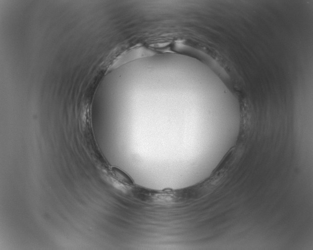 X0000076440574200611031908
