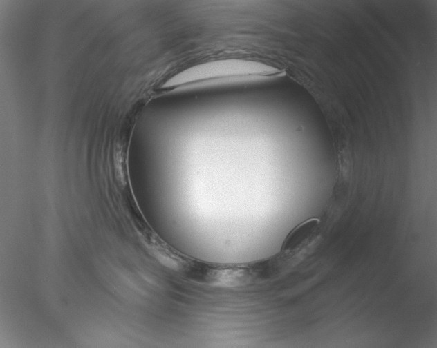 X0000076440575200611031908